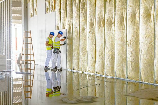 Best Commercial Insulation in East Alton, IL